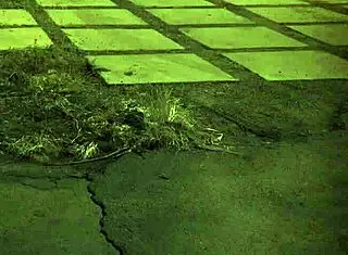 Arrested Bondage In Public BDSM Scene With Doll