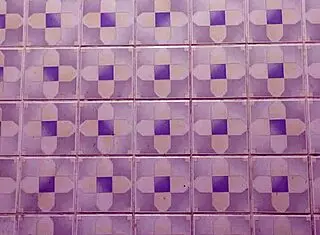 Hidden camera catches mature Peruvian woman in hotel bathroom