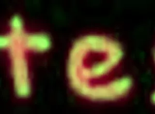 Megumin and Aqua Clash in Wild Futanari Action