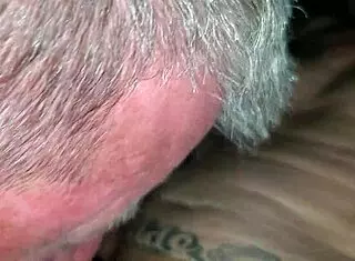 partner sucking brett's cock in gay blowjob session