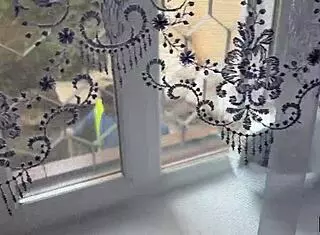 Sex Wife - Bang Me While Hubby Works Outside