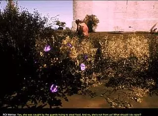 a naive king in wild fantasy