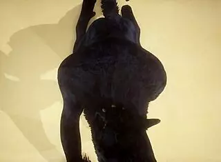 POV两个gay狼人野外大屁股猛操射精