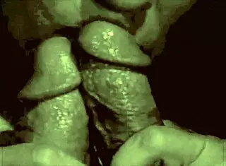 dark lantern presents sins of step mothers erotic confessions