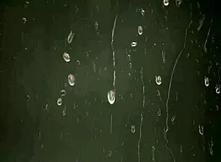 cute girls sucking cock and smiling 😊