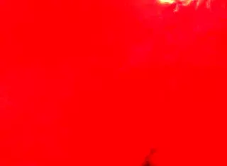 bbw tranny rides dildo creamy ass pov