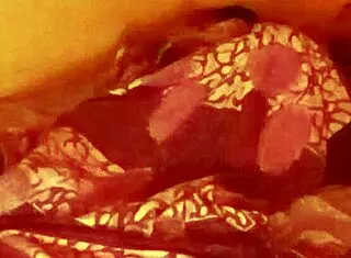 Stepfather Visits Innocent Young Woman's Room At Night