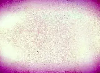 Velma和Fred在鬼屋狂野猛干不破案！