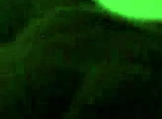 Cheating Girlfriend Craves Big Black Cock In Doggystyle