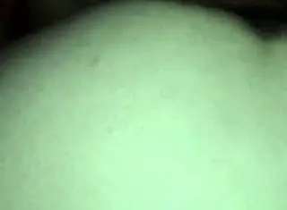 Mexican amateur video from march 22, 2016 at 1:31 pm