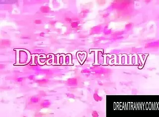 dream tranny compilation of brunette shemales giving blowjobs to peruvian latinas