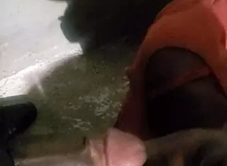 This verification video part 1 features a black blowjob 😏