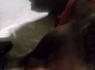 验证视频第一部黑人口交😏