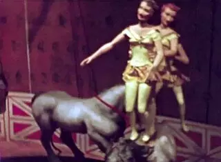 Vintage Erotic Art Collection!