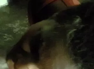 This verification video part 1 features a black blowjob 😏