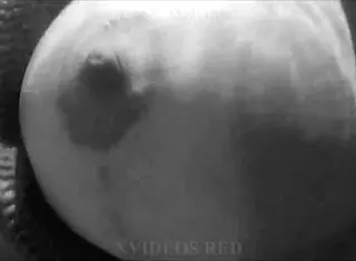 My Wife Poses on Brazilian Beaches for Public Display