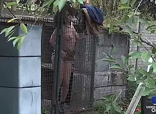 Mya Lorenn gets her ass taken wildly in hardcore threesome, can she handle it?