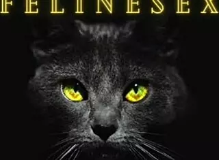 Curvy Babe Fucked Sideways with Creamy Pussy Finish