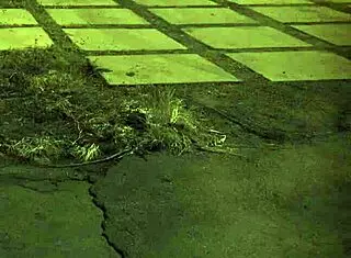 Extreme bdsm compilation featuring hardcore domination and teen scenes