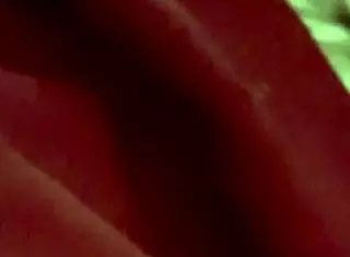 Slimyslimy1 Sneaks Cum Next To Sleeping Stepsister In Bed