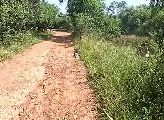 Pov Piss Compilation on Girlfriend's Face at Nude Resort Outdoors