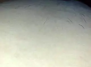 Latina Brunette With Big Tits And Ass Fucked By Monster Cock