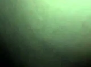 Gozando No Rabo Da Puta Humiliation Session