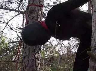 Skinny Latina Tied To Tree For Rough Outdoor Fuck