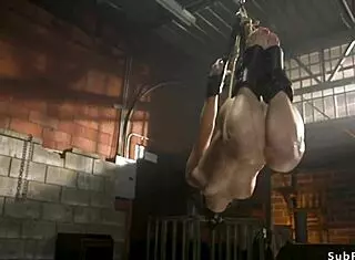 hot slave ass whipped and roughly fucked in submission