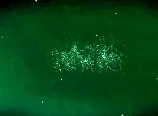 Electric And Inspiring Blowjob Babe With A Cumshot