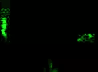 Vintage Erotic Drawings Of Antique Scenes