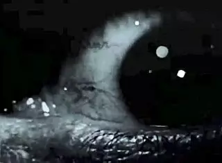 I love this retro black on black design