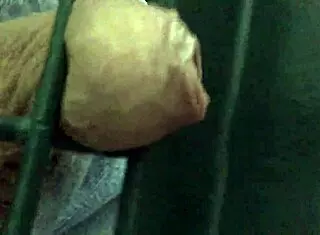 Close-Up View Of A Mysterious Gate Scene