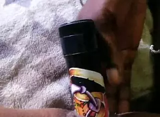 nybutterscotch tries new toy with husband watching