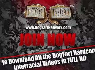 ebony babe paris the muse takes on 10 cocks for a wild facial session.