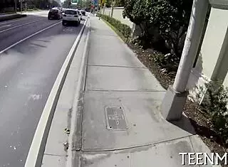 Pretty Brooke Wylde Natural Tits