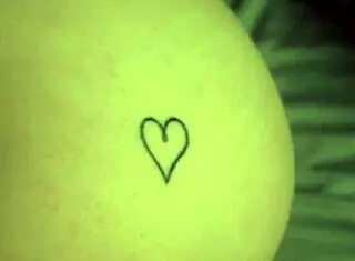 Stepbrother Risks It All, Creampies 18yo Stepsister's Tight Asshole in Rough Homemade Action