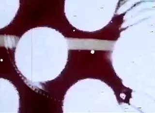 Dark Lantern Entertainment Presents Top 20 Victorian Nudes from My Secret Life: Erotic Confessions of a Victorian English Gentleman