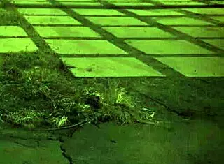 Bdsm Session With Rough Doggy Style Bondage