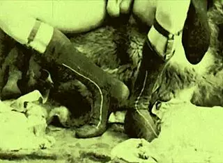 Dark Lantern Entertainment Presents Top 20 Victorian Nudes from My Secret Life: Erotic Confessions of a Victorian English Gentleman