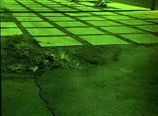 Bdsm Session With Rough Doggy Style Bondage