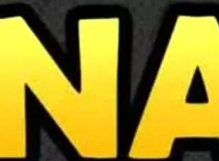 Winged Guest Fucks Woman In 3D Animation