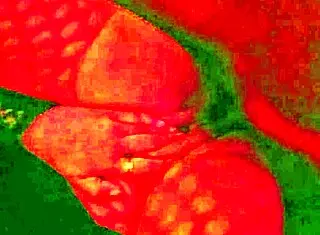 Angelg and Kuzz unleash monster cocks in interracial BBW Halloween special.