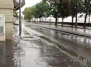 Hungarian Brunette Fucked POV After Street Pickup