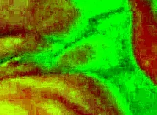 Angelg and Kuzz unleash monster cocks in interracial BBW Halloween special.