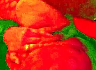 Angelg and Kuzz unleash monster cocks in interracial BBW Halloween special.