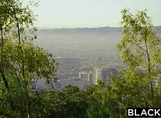 Beauty adria rae's first interracial experience with deepthroat, riding, and creampie