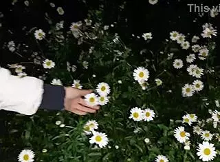 Housekeeper Gets Wild with Garden Walk and Intense Orgasmic Sex