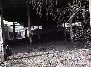 every pussy stuffed and glazed with cum on stevenshame blind dates full scene 😍