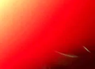 Wife teases herself then takes big cock doggystyle for creampie!